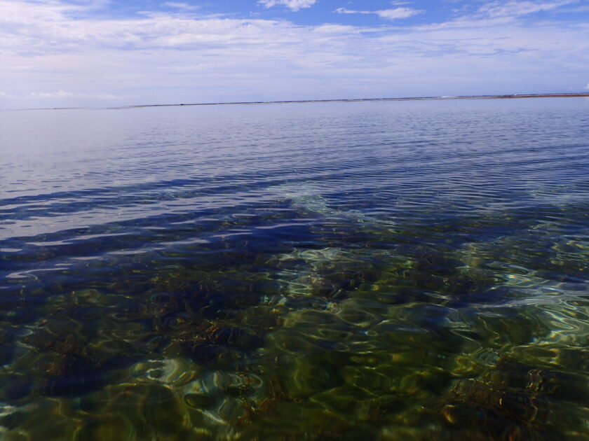 湖のような水面で☆彡