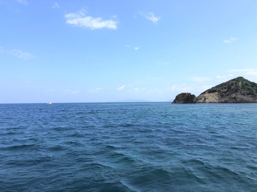 3月でも夏日～☆彡